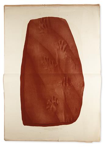 (FOSSILS.) Lea, Isaac. Fossil Foot-Marks in the Red Sandstone of Pottsville, Pennsylvania.